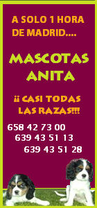 VENTA DE MASCOTAS