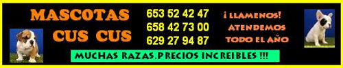 VENTA DE MASCOTAS